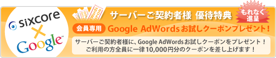 Google AdWords��������ݥ�ץ쥼��ȡ�