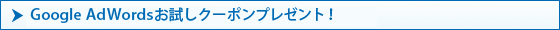 Google AdWords��������ݥ�ץ쥼���