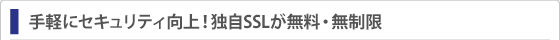 独自ドメインを用いた専用SSLを標準装備!