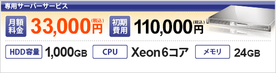 専用サーバー 月額料金33,000円(税込)、初期費用110,000円(税込)、HDD容量1,000GB、CPUはXeon6コア、メモリ24GB