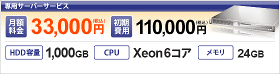 ѥС 33,000(ǹ)110,000(ǹ)HDD1,000GBCPUXeon624GB